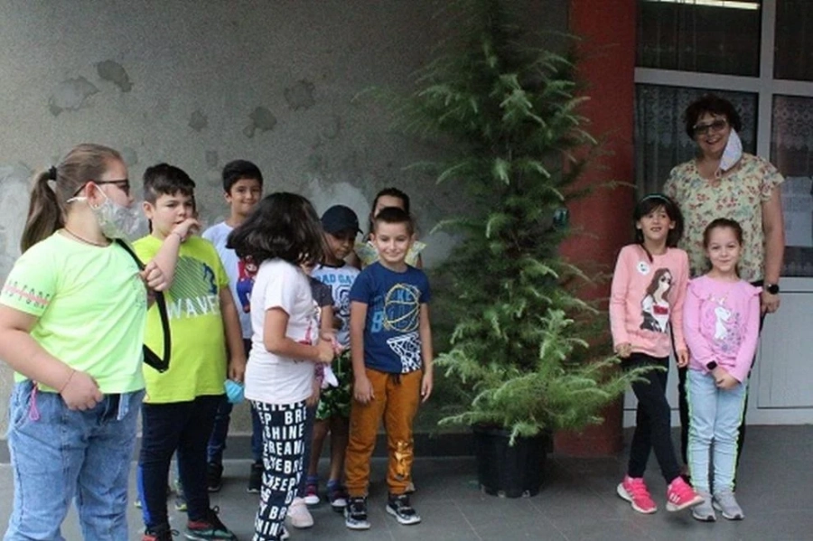 Община Панагюрище отново ще дари дръвче на всяко училище и детска градина