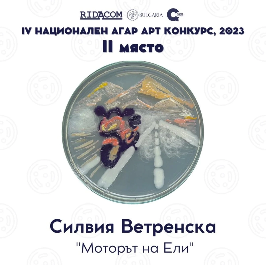 РЗИ Пазарджик с победител в четвъртия конкурс АГАР АРТ