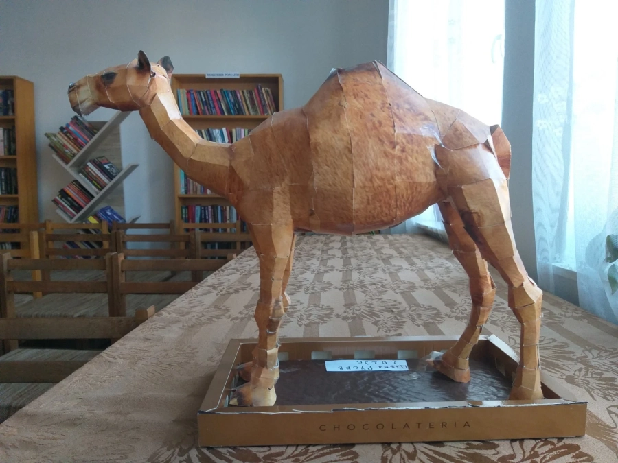 Ученик подари на библиотеката в Стрелча 3D пъзели