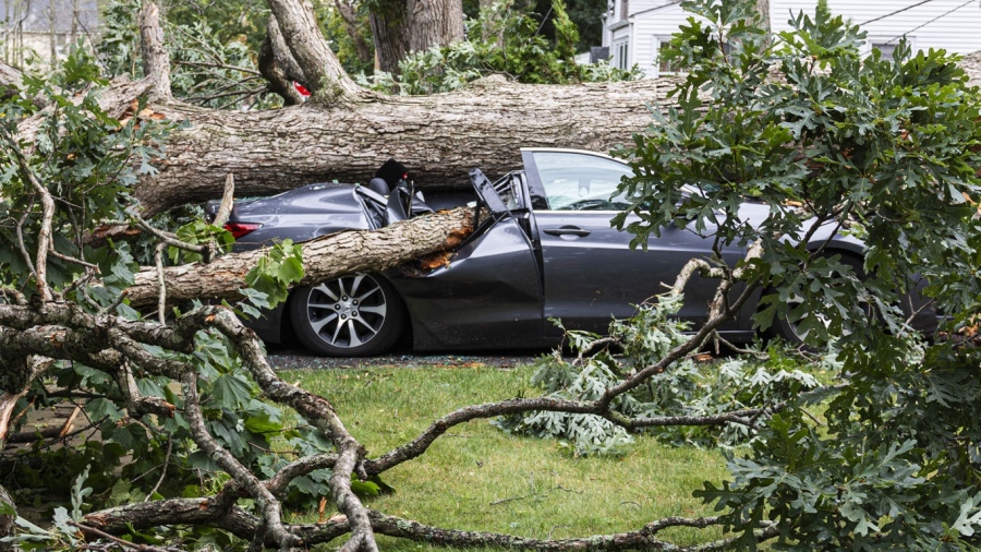 Дърво падна върху паркиран автомобил в частен дом