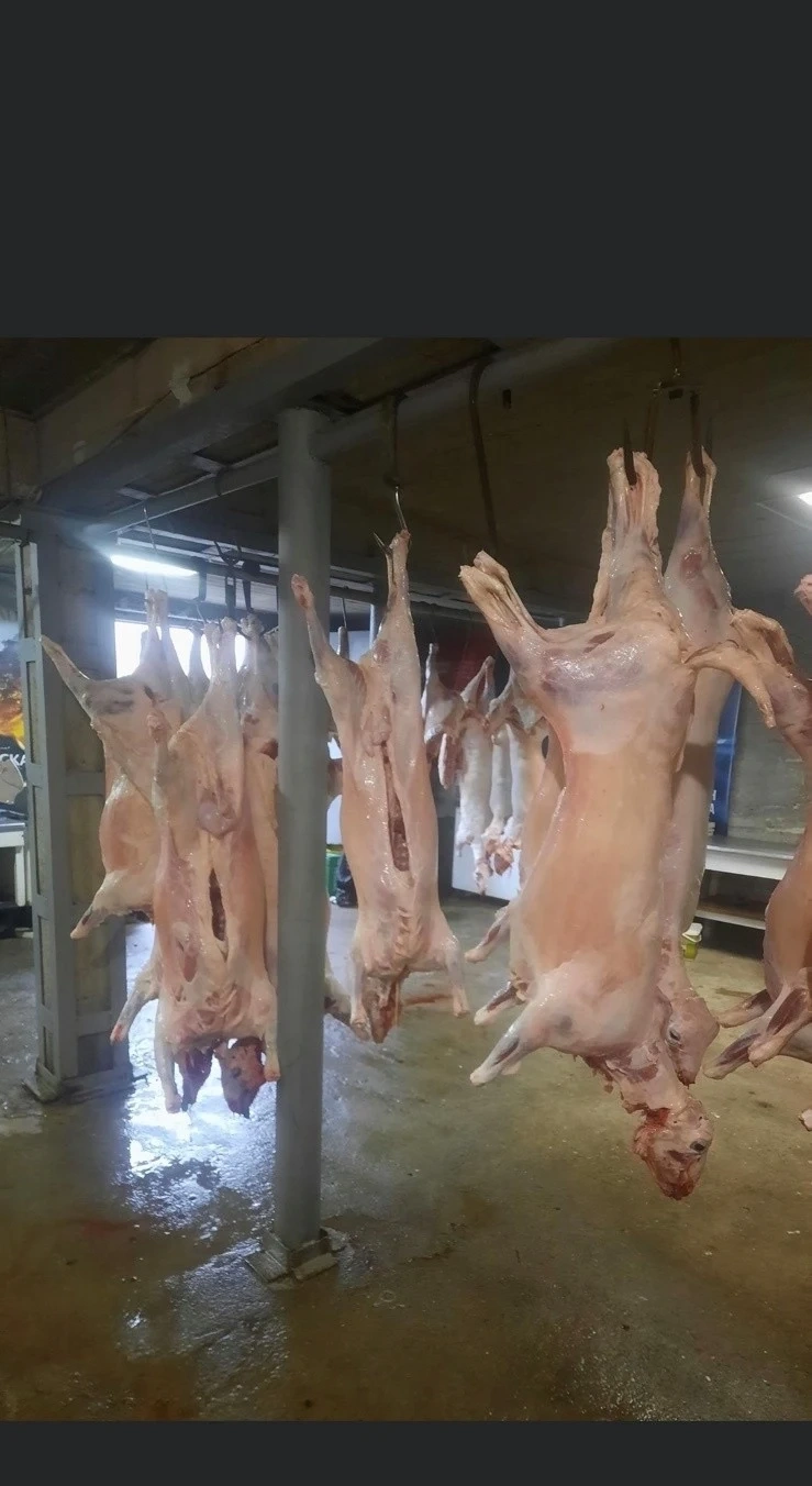 Разкриха нелегална кланица във Велинград