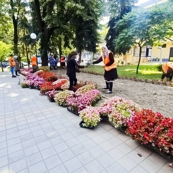 Още 7000 нови цветя във Велинград