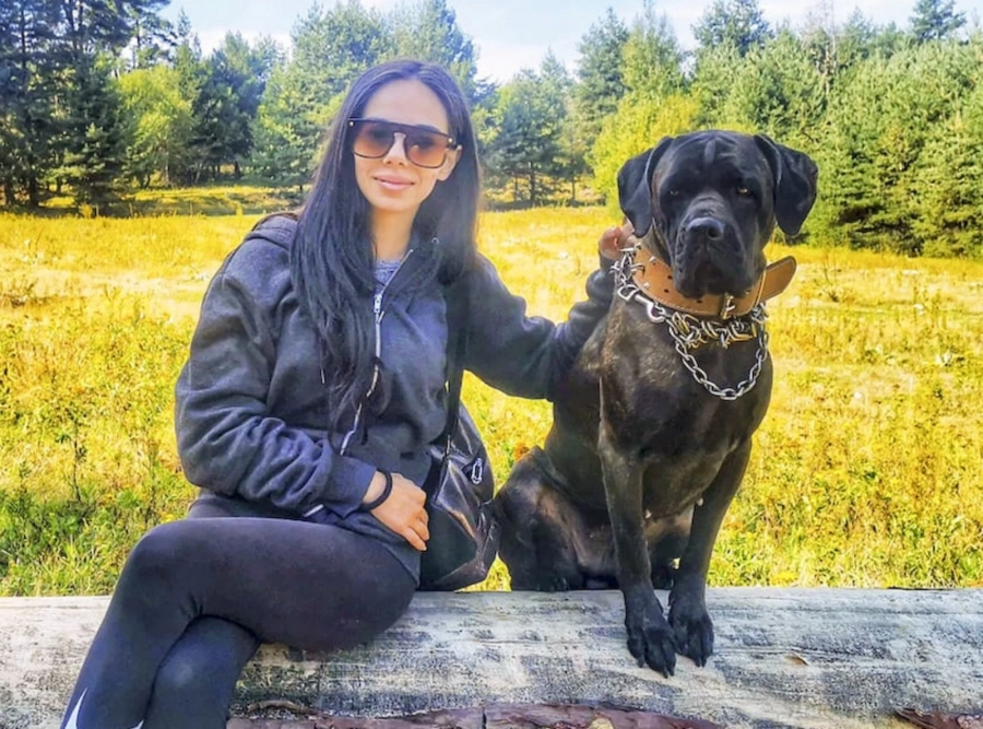 Закуска за куче срещу пластмасова бутилка в центъра на Пещера