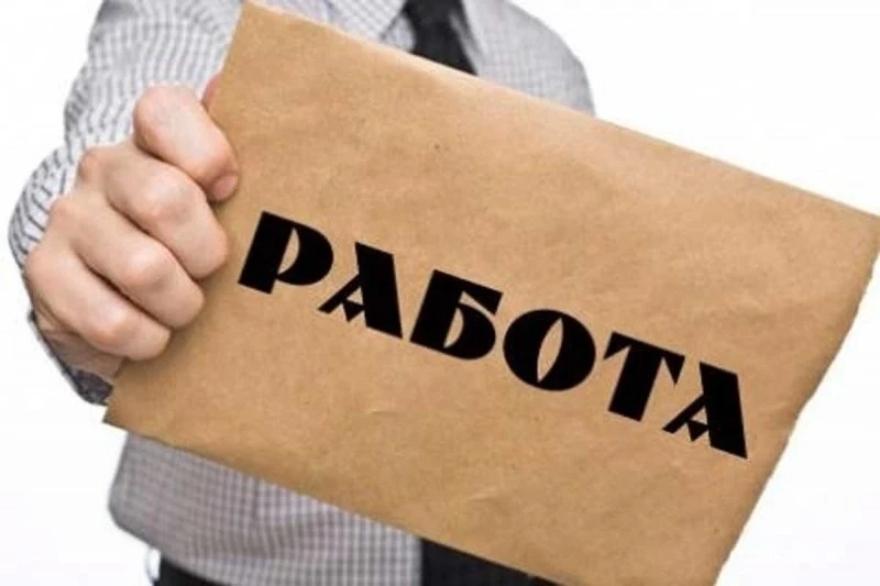 Свободни работни места в Дирекция по труда - Панагюрище