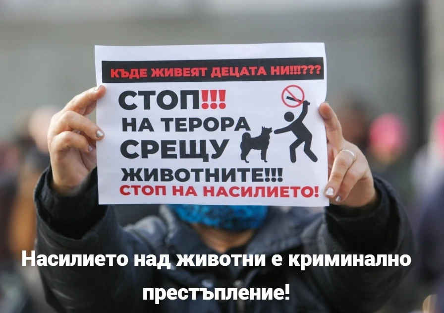 Млад мъж влачил куче с автомобил, задържаха го
