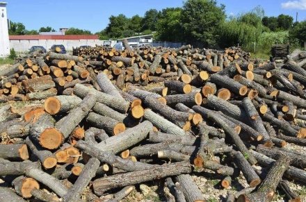 В община Стрелча - желаещите да закупят дърва за огрев подават заявления до 31 март