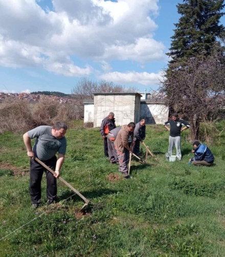 В три общини: 150 фиданки космат дъб и американски ясен засадиха служителите на ВиК-Пазарджик