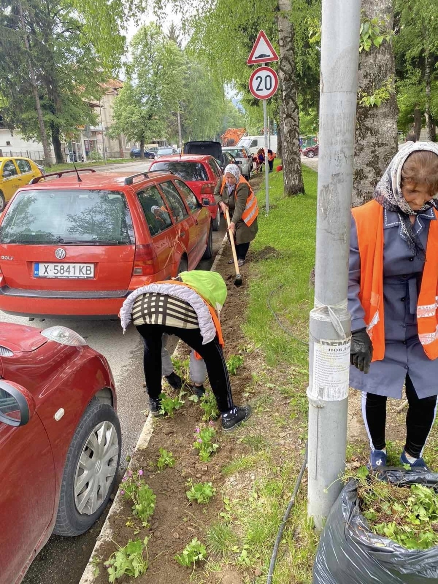 Озеленяването и зацветяването на Велинград продължава