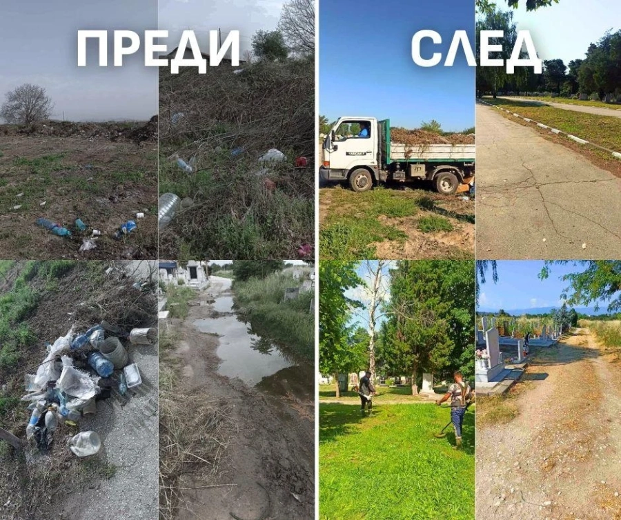 Гробищните паркове в Пазарджик се облагородяват, изнасят се тонове растителност