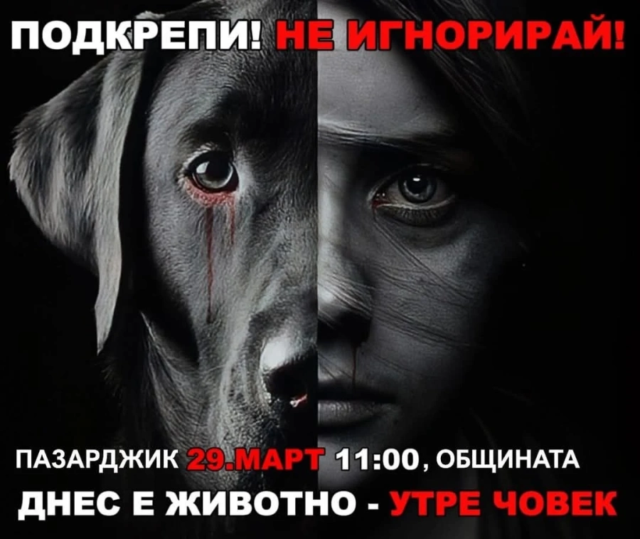 И в Пазарджик ще протестират в подкрепа на измъчваните и убивани животни - на 29 март пред Общината