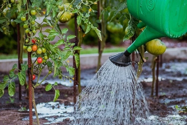 Водата за стопански дейности в Пещера ще потече поетапно от 1 април