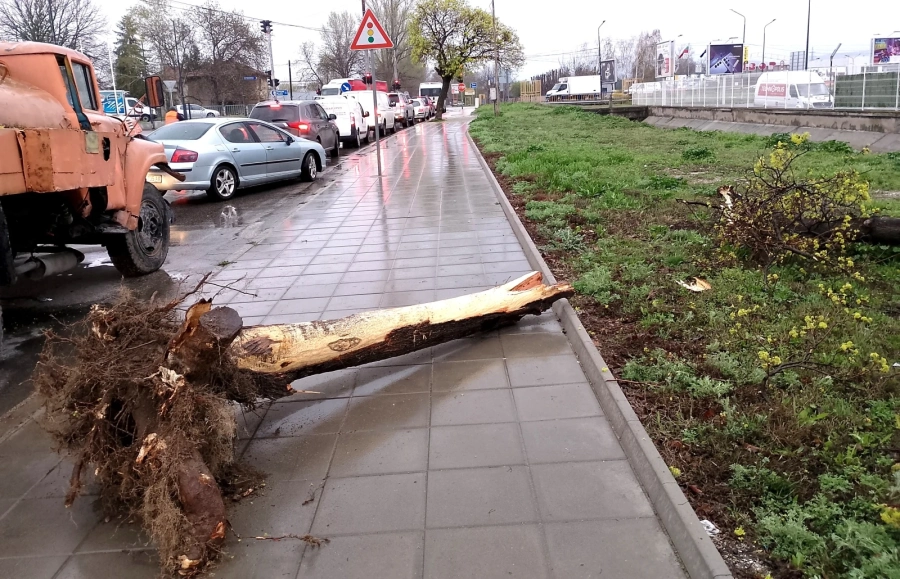 Водоноска се блъсна в дърво в Пазарджик