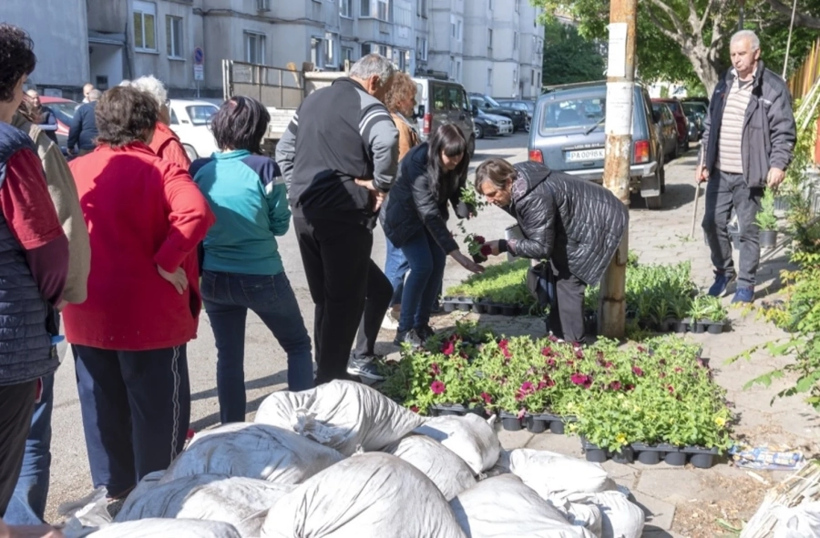 На 6 пункта Община Пазарджик ще раздава цветя и красиви храсти срещу отпадъци на Лазаровден