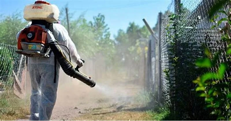 В община Панагюрище пръскат срещу кърлежи и акари