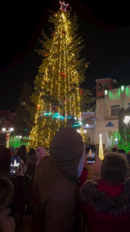 Коледната елха в Белово светна, все още може да се включите в Беловската Коледа!
