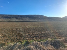 Подписали възрастна жена - губи хиляди левове от наем на земя