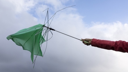 ВНИМАНИЕ: Жълт код за силен вятър в Област Пазарджик