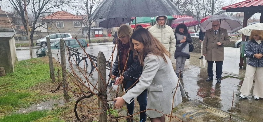 Призове за най-пивко вино и най-вкусна пита в Капитан Димитриево - дъждът не уплаши празнуващите Трифон Зарезан