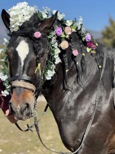 С кушии, фолклор и благослов Велинград отбеляза Тодоровден