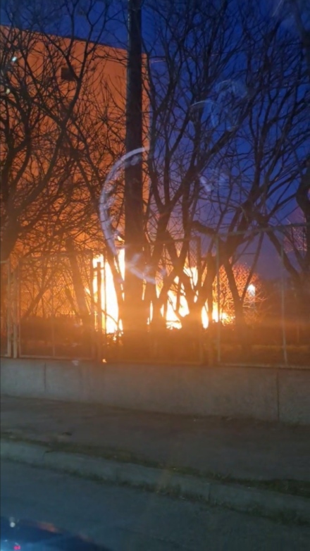 Горят храсти в двора на Спортното училище в Пазарджик