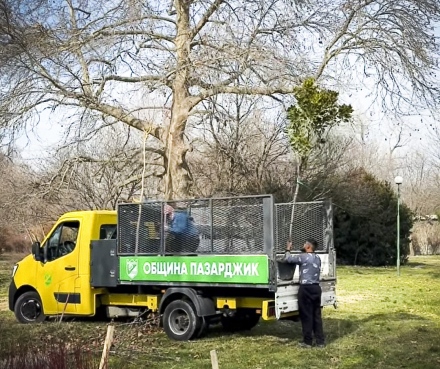 Зелен и цветен Пазарджик