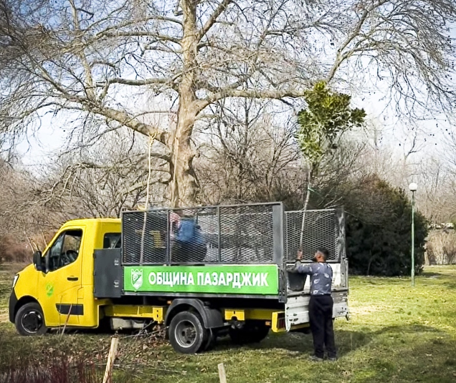 Зелен и цветен Пазарджик