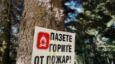 Определен е пожароопасният сезон в горските територии на област Пазарджик