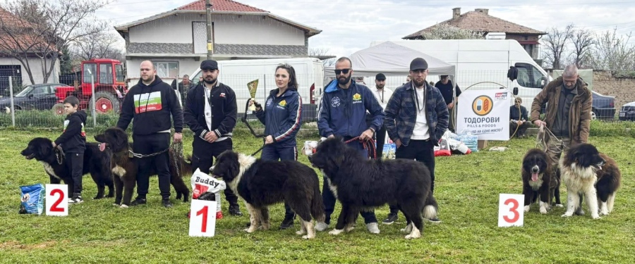 149 български овчарски кучета с тест за характер в киноложка изложба в Динката