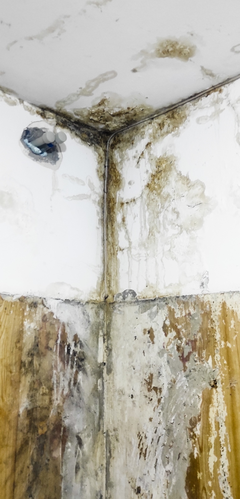 Читателско: Блок в Пазарджик се санира, новият покрив тече!