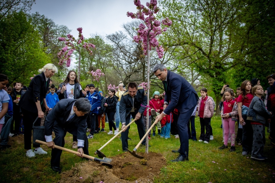 Заради “Сърце в зелено“ посланикът на Япония засади японска вишна в Пазарджик