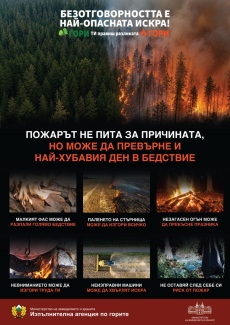 РДГ - Пазарджик: Безотговорността е най-опасната искра! Пазете горите от пожар!