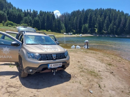 С 1 000 000 личинки толстолоб зарибиха язовир „Доспат“