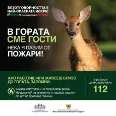 В гората сме гости! Да я пазим от пожари!
