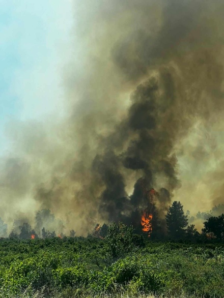 Пожар на магистрала „Тракия“. Затварят временно отбивката за Септември