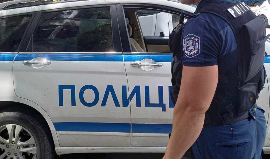 Изясняват случай с незаконен развъдник на питбули в пазарджишкия квартал „Изток“