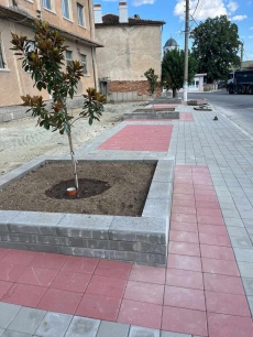 В Лесичово ремонтират площада, където през декември ураганни ветрове събориха три дългогодишни дървета