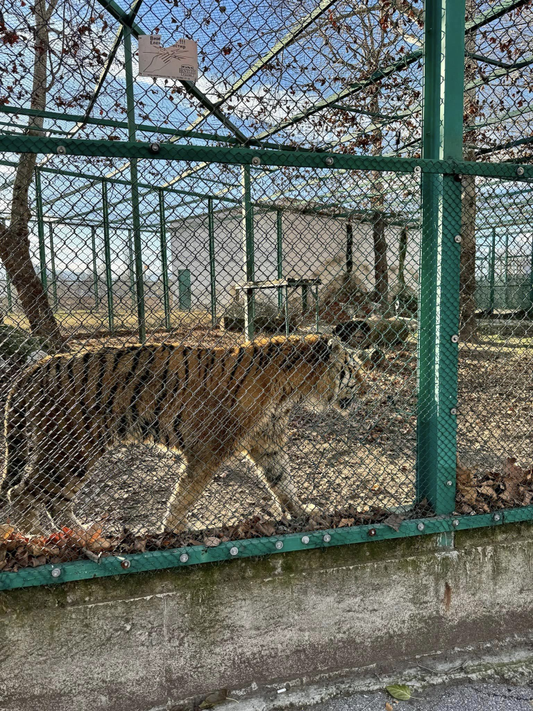 Ще се търси еврофинансиране за над 800 000 евро за подобряване условията в зоокъта в Пазарджик
