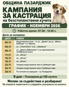Кампания за кастрация на безстопанствени кучета организира Община Пазарджик през ноември