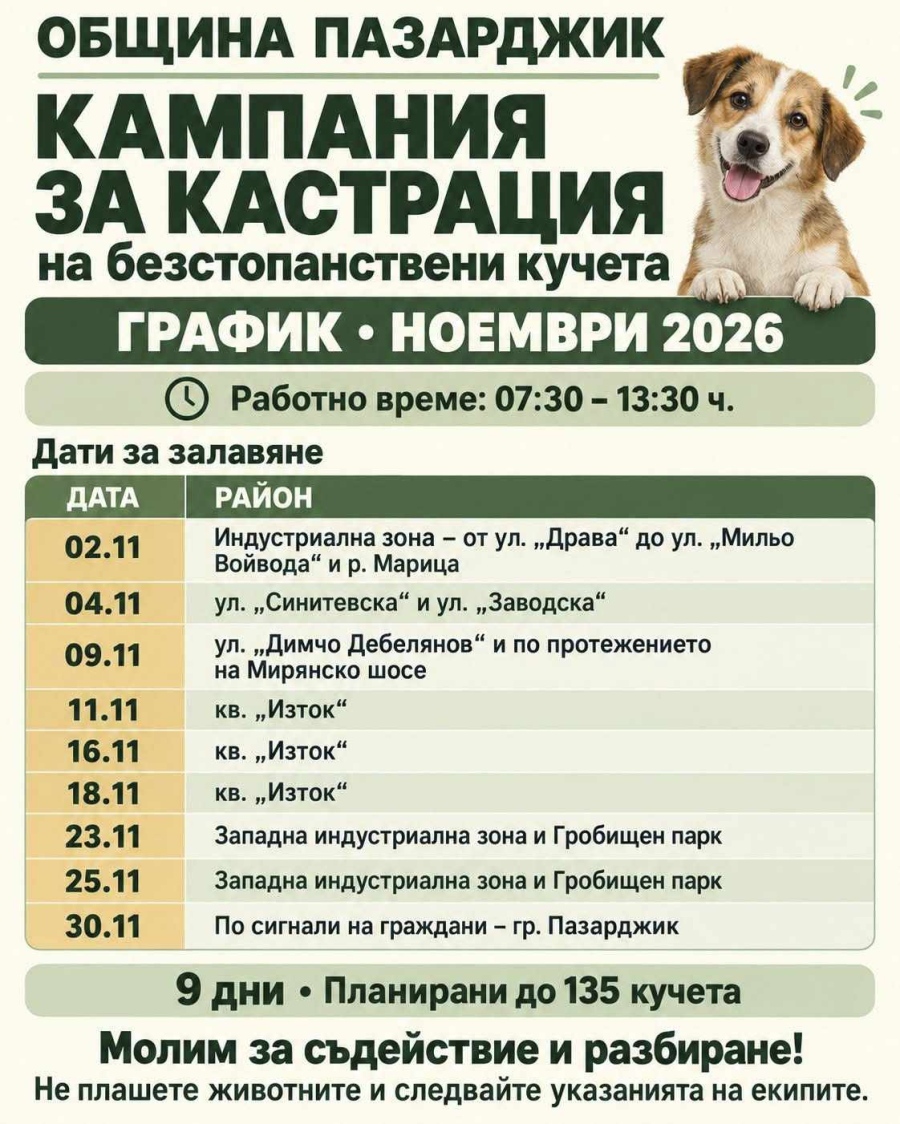 Кампания за кастрация на безстопанствени кучета организира Община Пазарджик през ноември